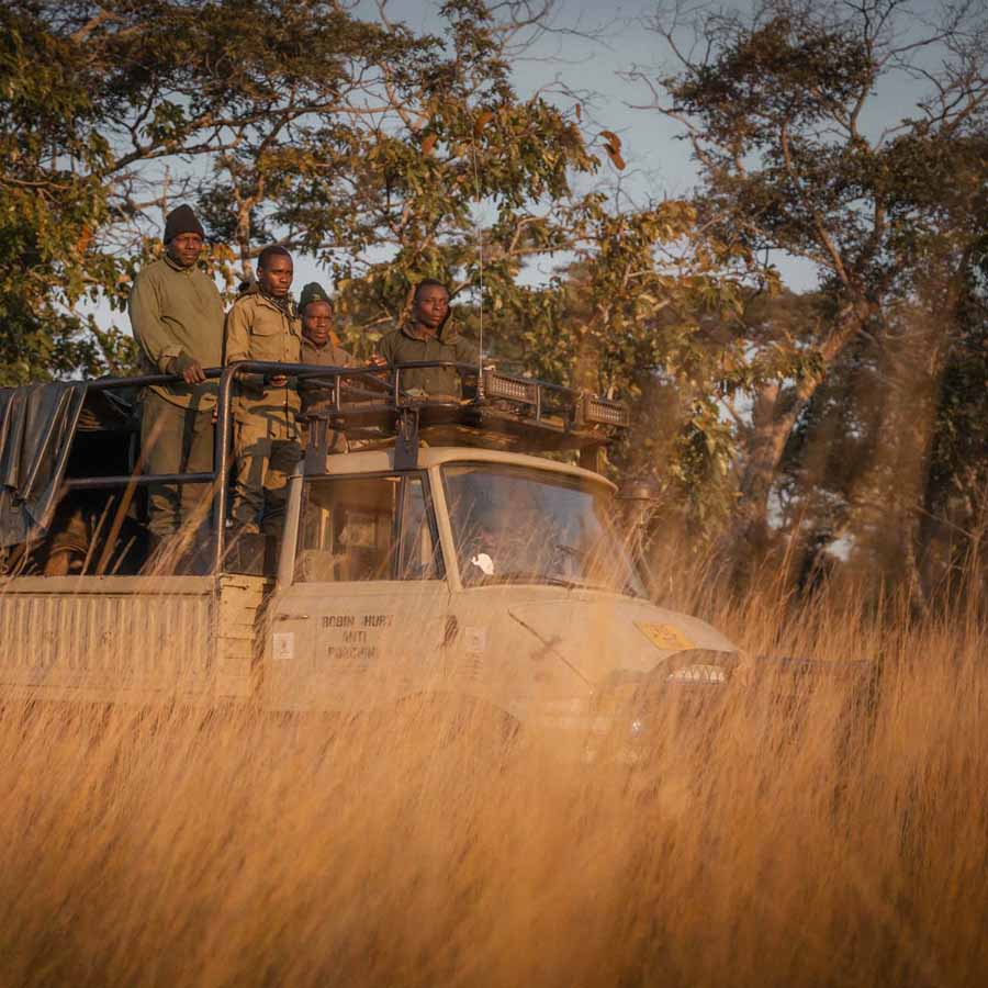 anti-poaching