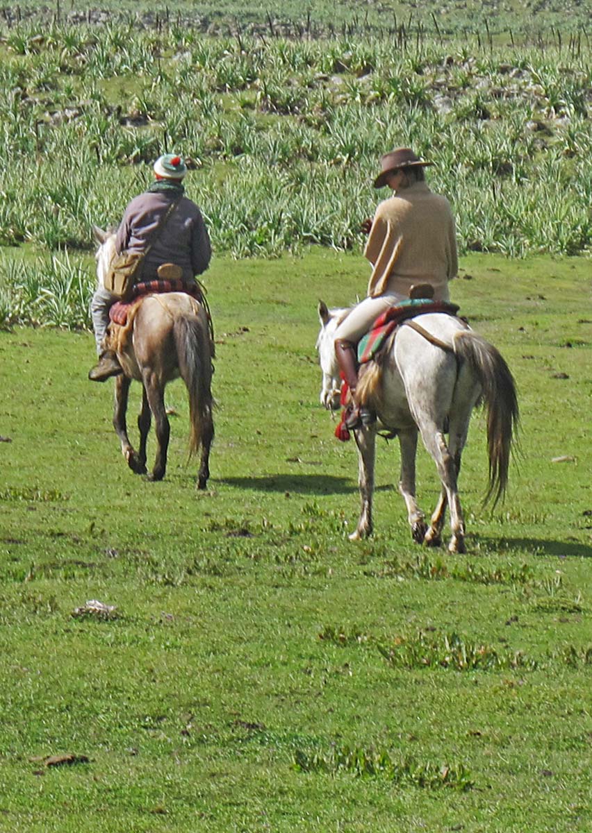 bale-horse-back-safaris