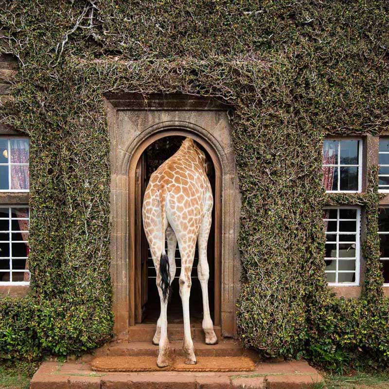 kenya-safari7