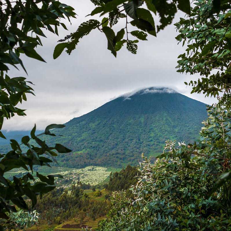 rwanda-safari14