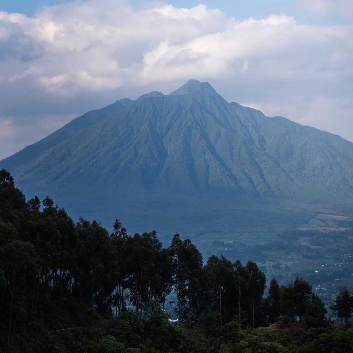rwanda-safari2