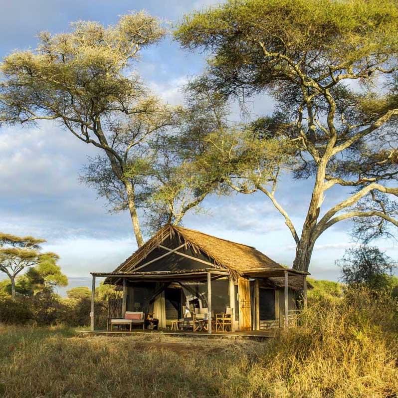 tanzania-safari3