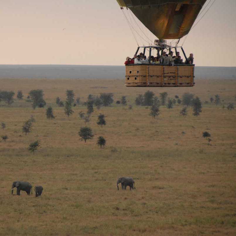 tanzania-safari9