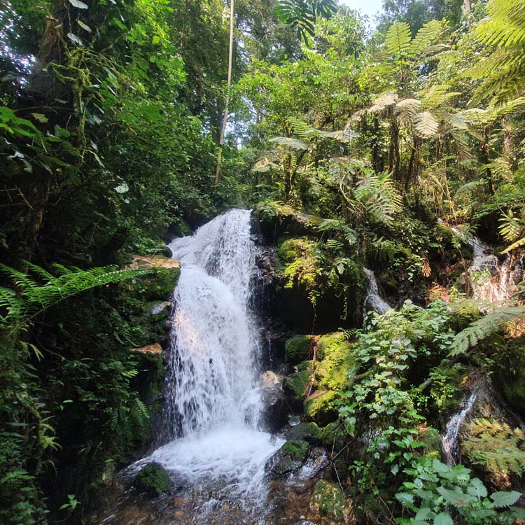 waterfall