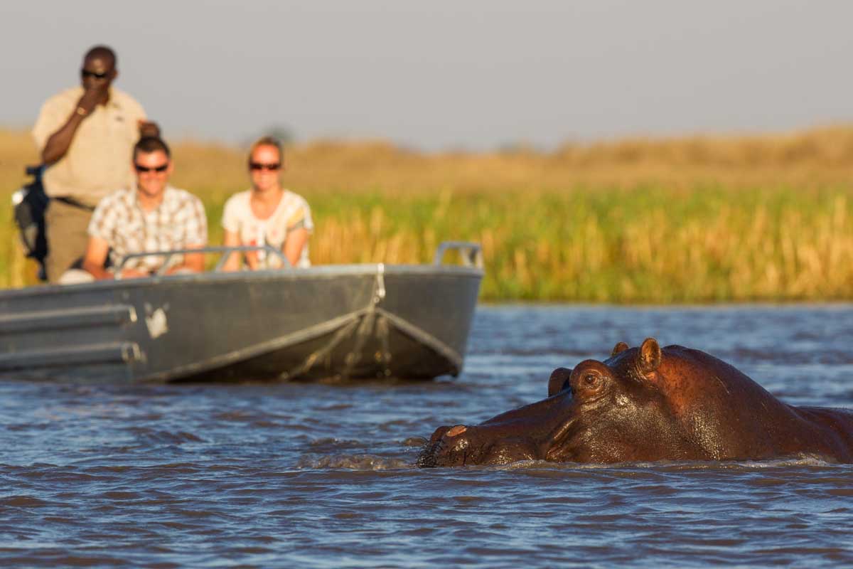 zambia-safari17