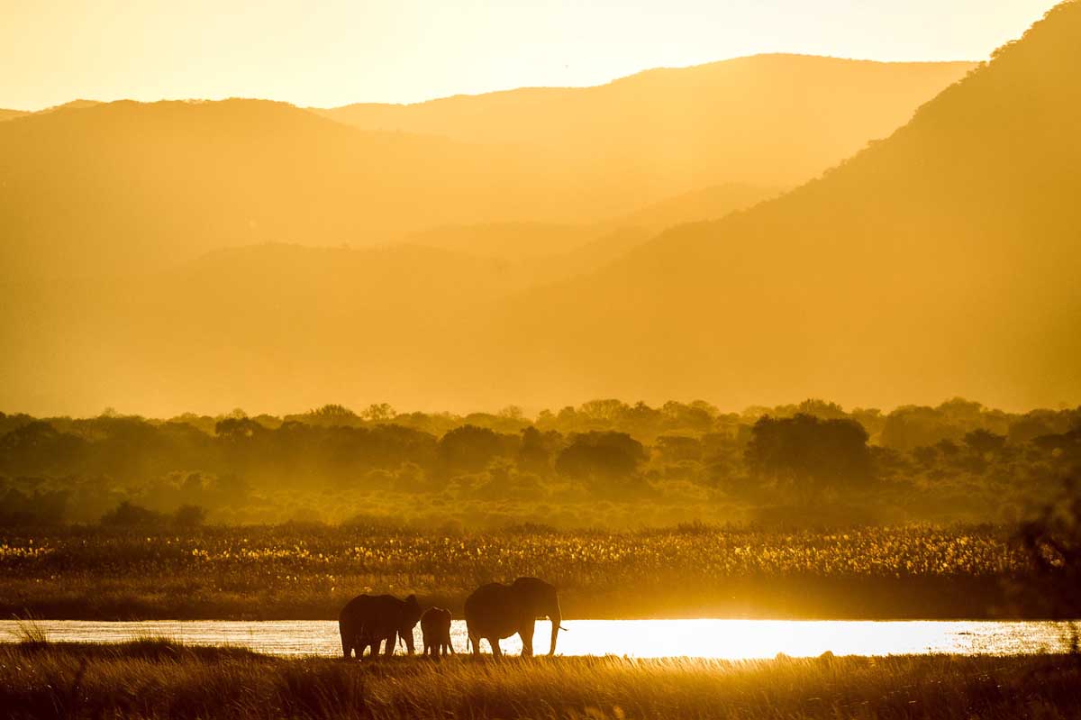 zimbabwe-safari23
