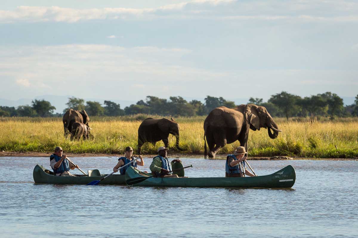 zimbabwe-safari24