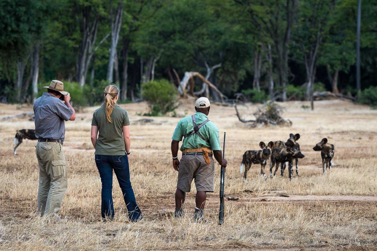 zimbabwe-safari31